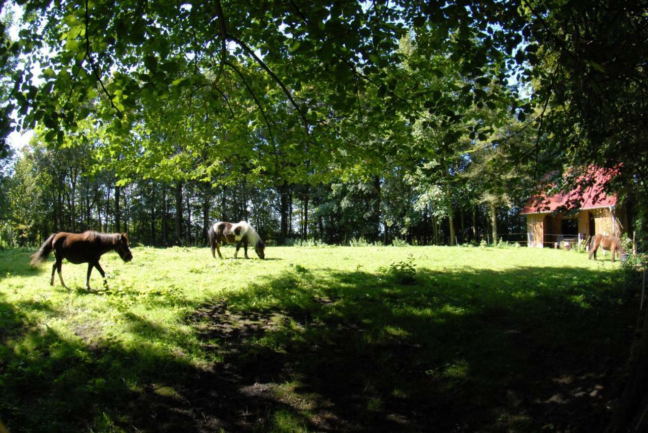 Appartamento Hof Olde Warft Oldenswort Esterno foto