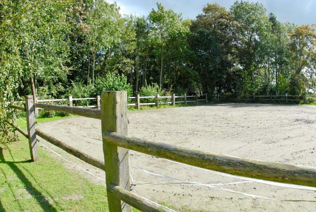 Appartamento Hof Olde Warft Oldenswort Esterno foto